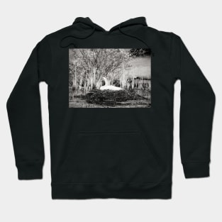 "Nesting Beauty" Hoodie